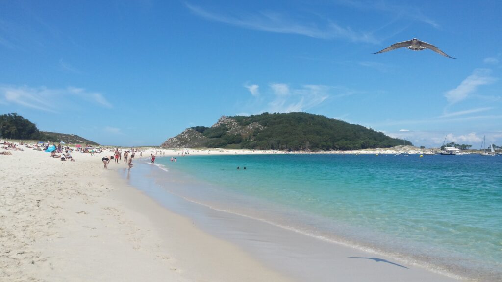 Una paradisiaca playa y un ave volando junto al mar. El viaje de Venus.